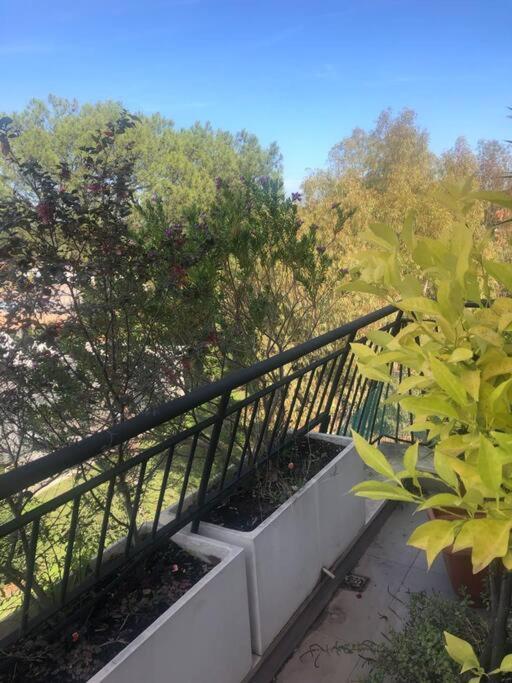 Casa Incantevole Con Vista Parco Appia Antica Villa Roma Ngoại thất bức ảnh